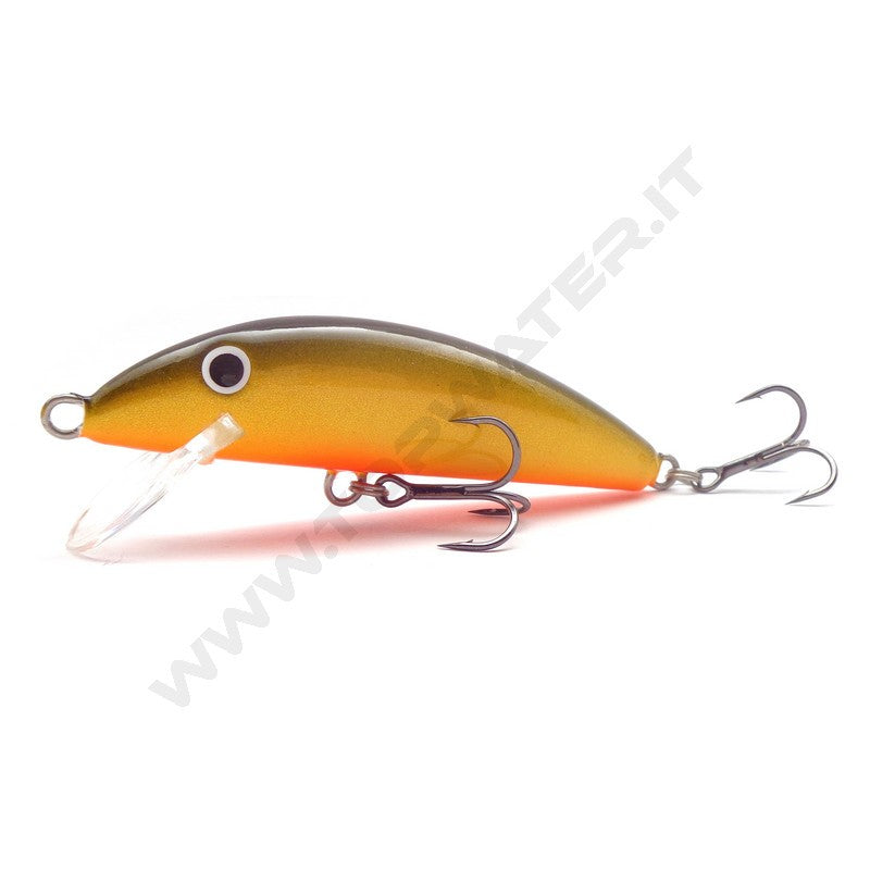 Real Winner Minnow
