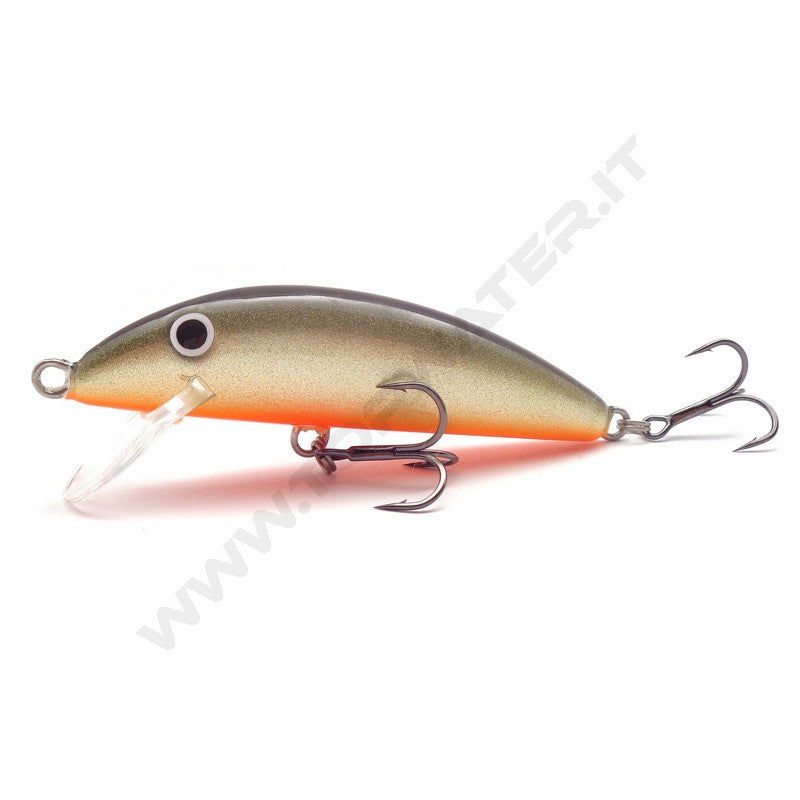 Real Winner Minnow