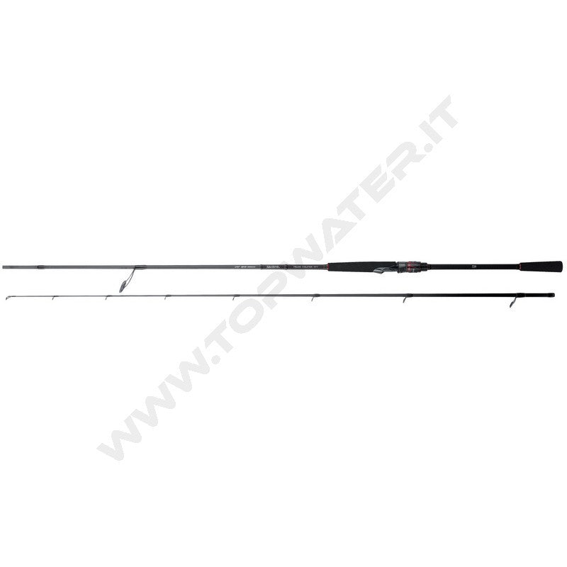 Daiwa Freams Evolution Spinning