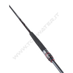 Daiwa Freams Evolution Spinning