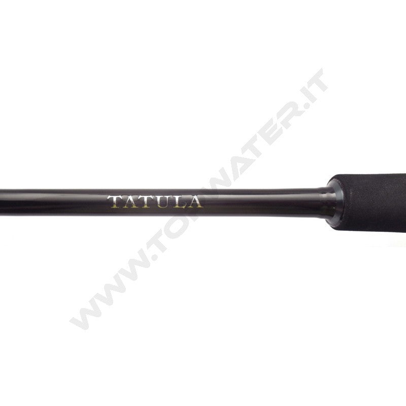 Daiwa Tatula XT Spinning