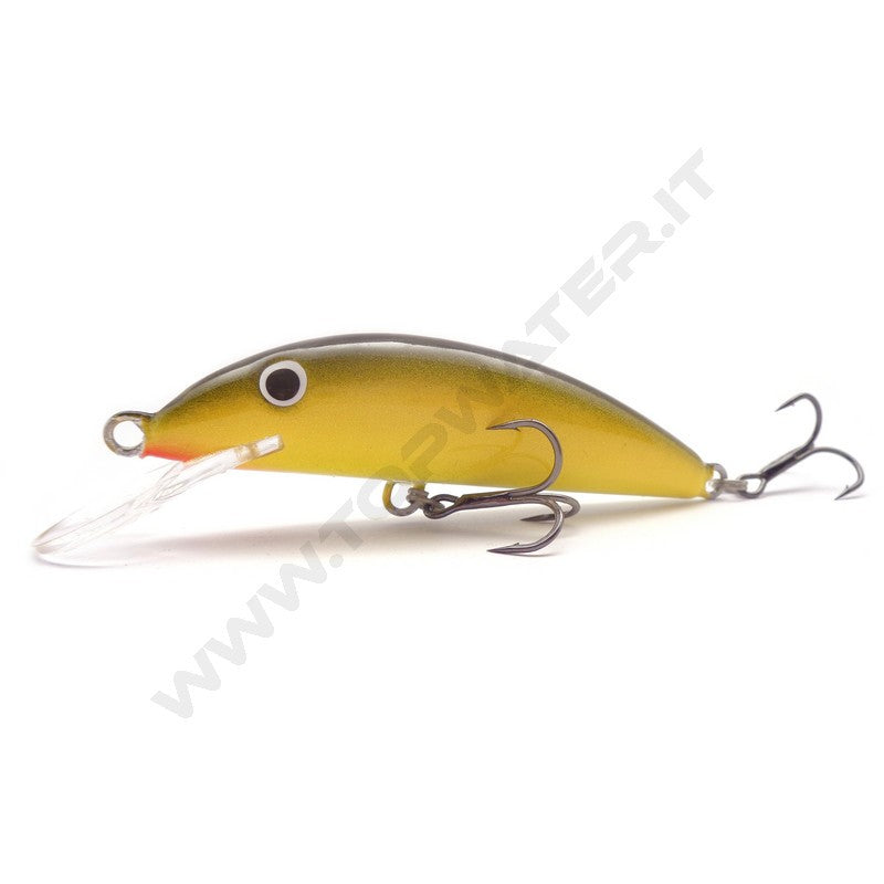 Real Winner Minnow Evolution