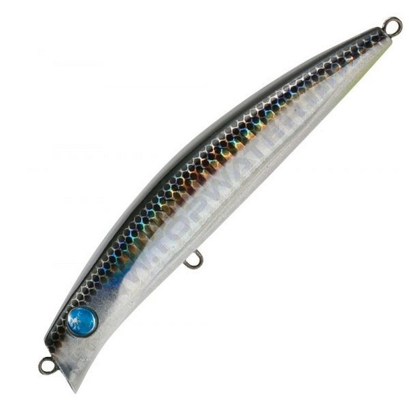 Seaspin Coixedda 100