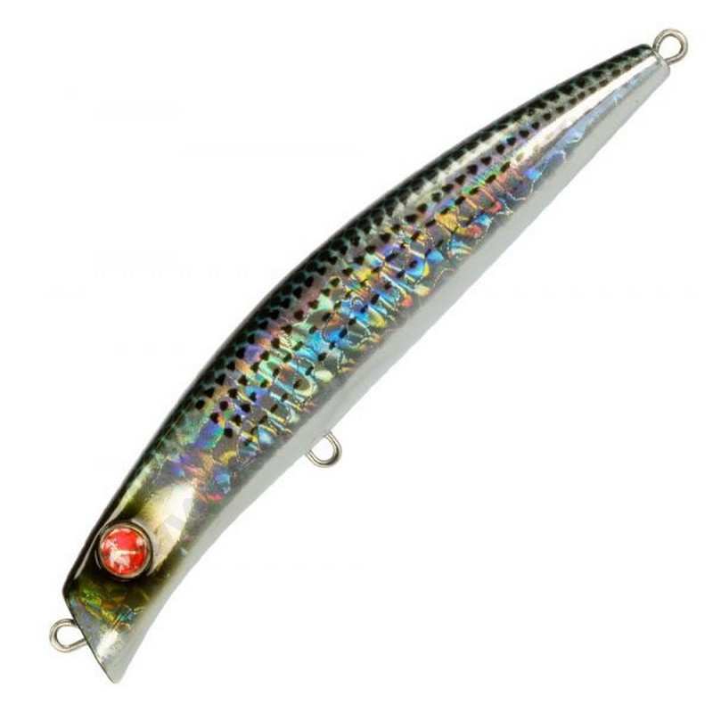 Seaspin Coixedda 100