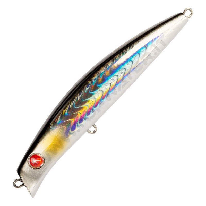 Seaspin Coixedda 100