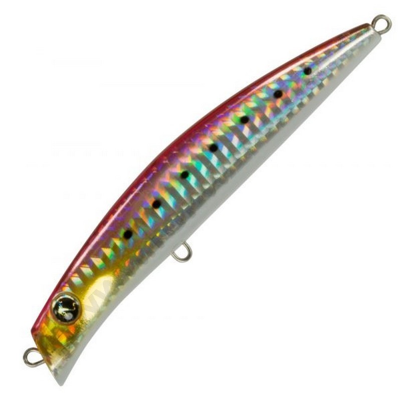 Seaspin Coixedda 100