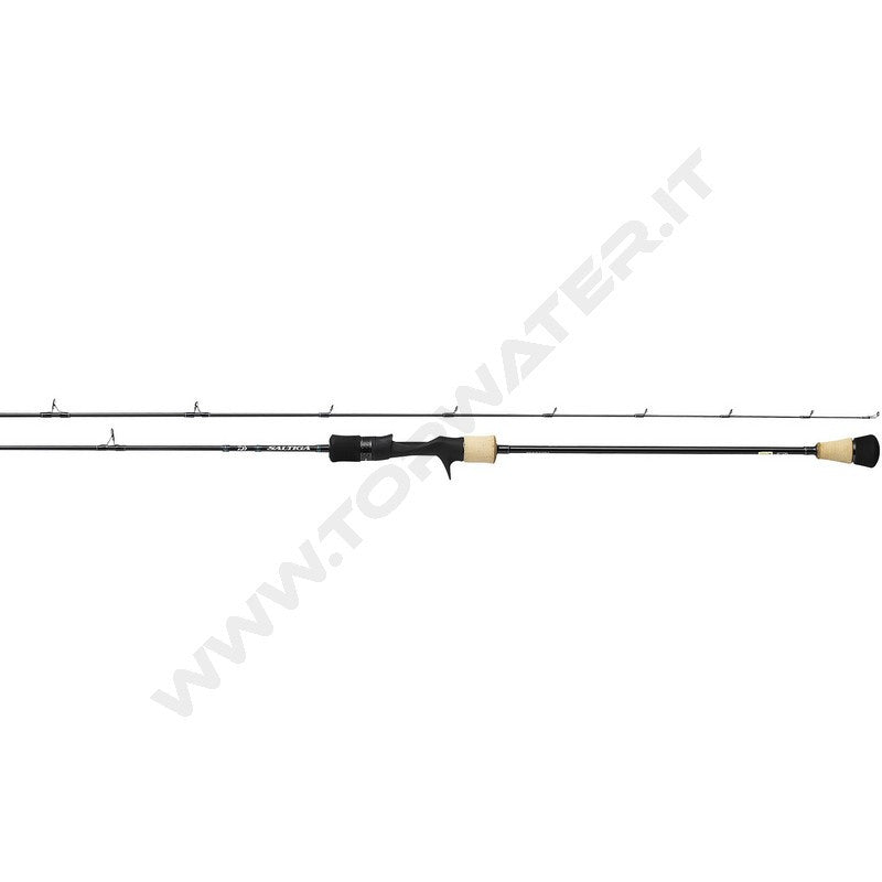 Daiwa Saltiga SJ rods