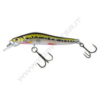 Molix Jubarino minnow