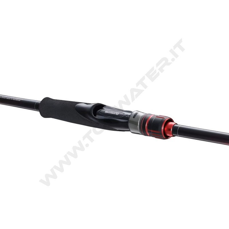 Shimano canna Sephia BB 2022