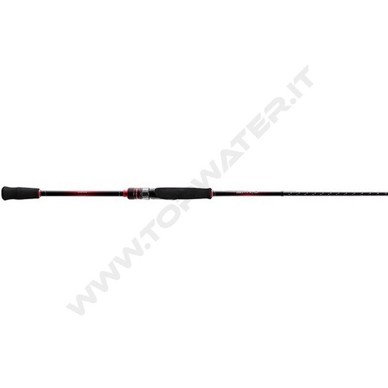 Shimano canna Sephia BB 2022