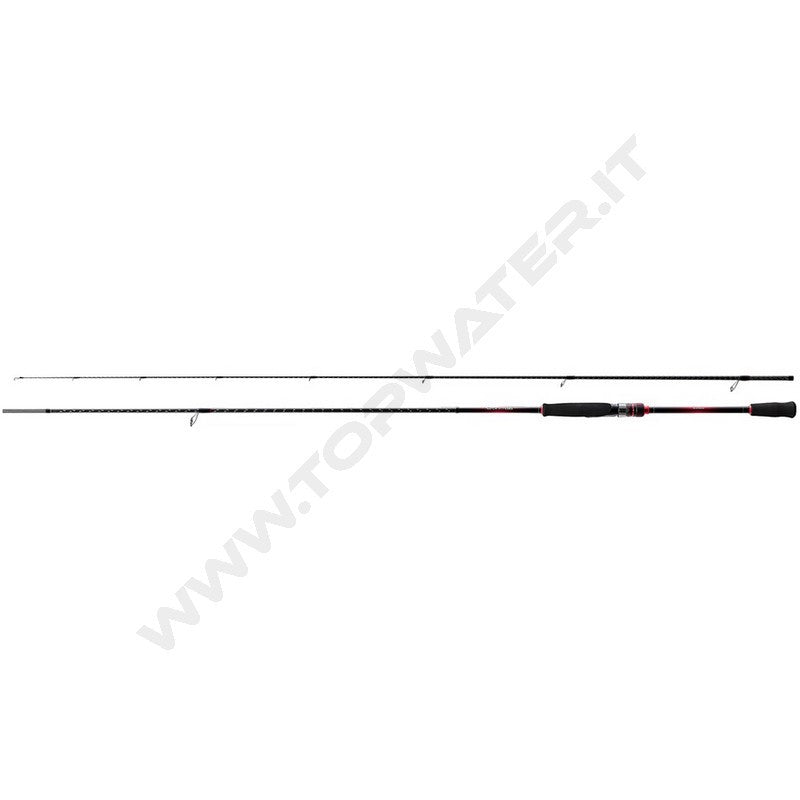 Shimano canna Sephia BB 2022