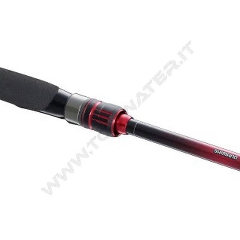Shimano canna Sephia BB 2022