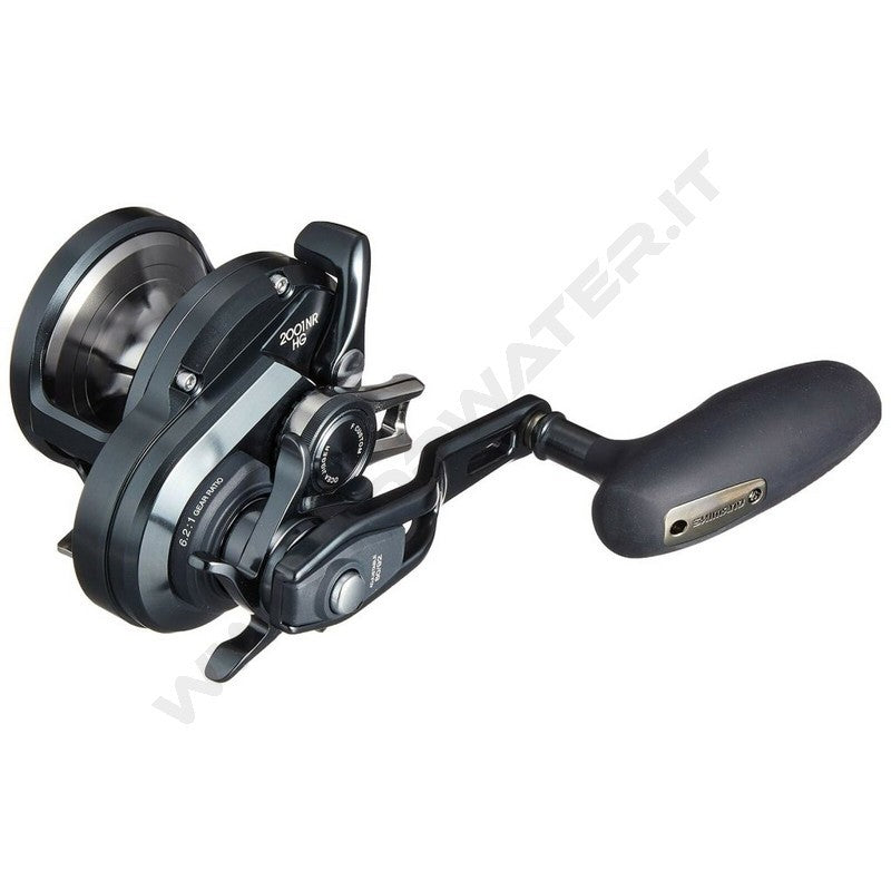 Shimano Ocea Jigger F Custom 2001NRHG