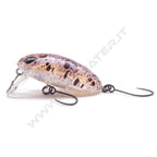 Nories Boss Pupa Shallow