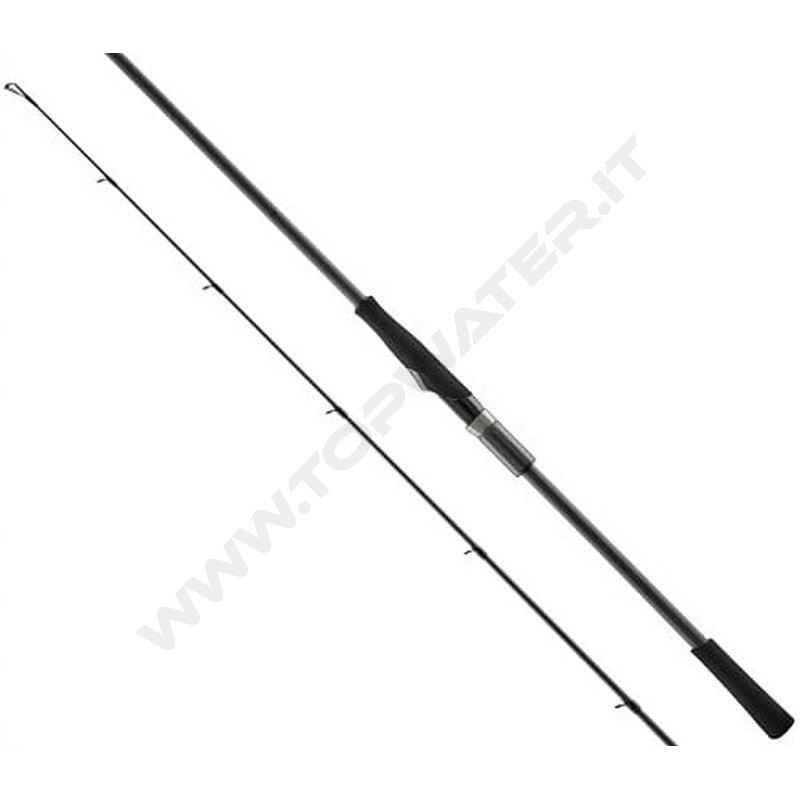 Favorite Black Swan TZ