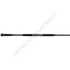 Shimano Beastmaster AX Catfish Spinning