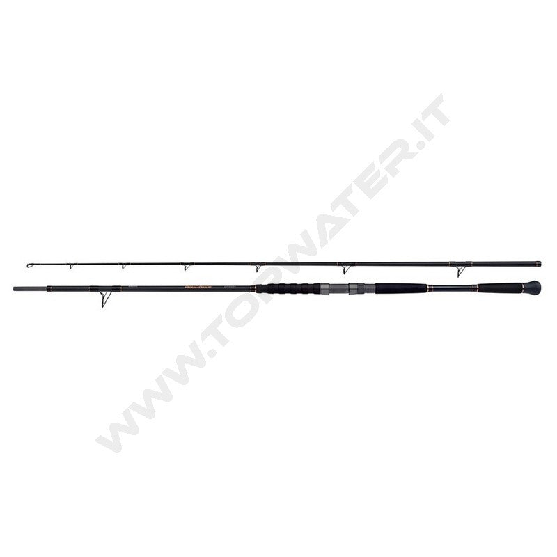 Shimano Beastmaster AX Catfish Spinning