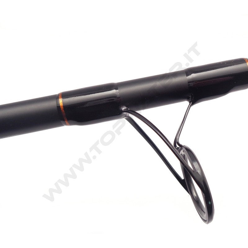 Shimano Beastmaster AX Catfish Spinning