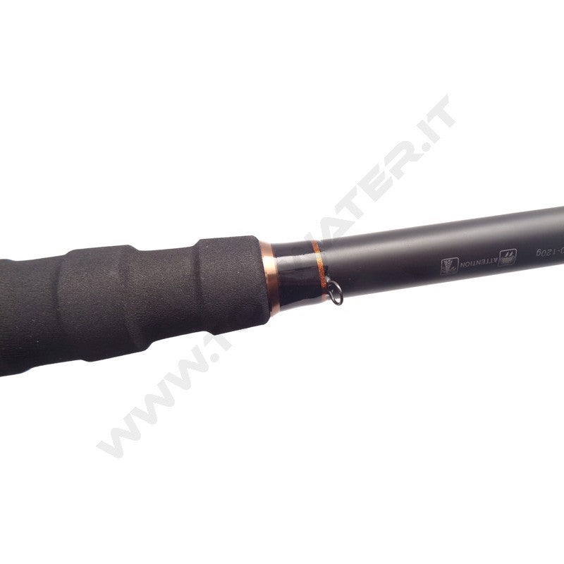 Shimano Beastmaster AX Catfish Spinning