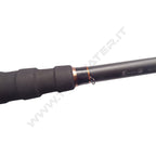 Shimano Beastmaster AX Catfish Spinning