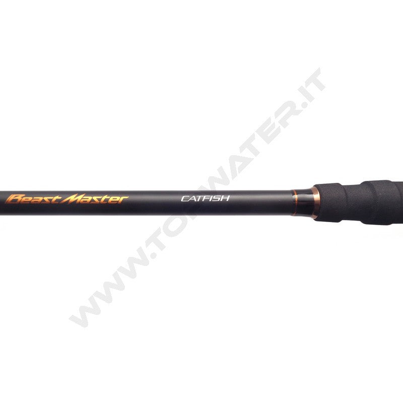 Shimano Beastmaster AX Catfish Spinning