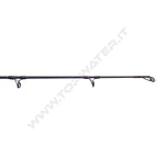 Shimano Beastmaster AX Catfish Spinning