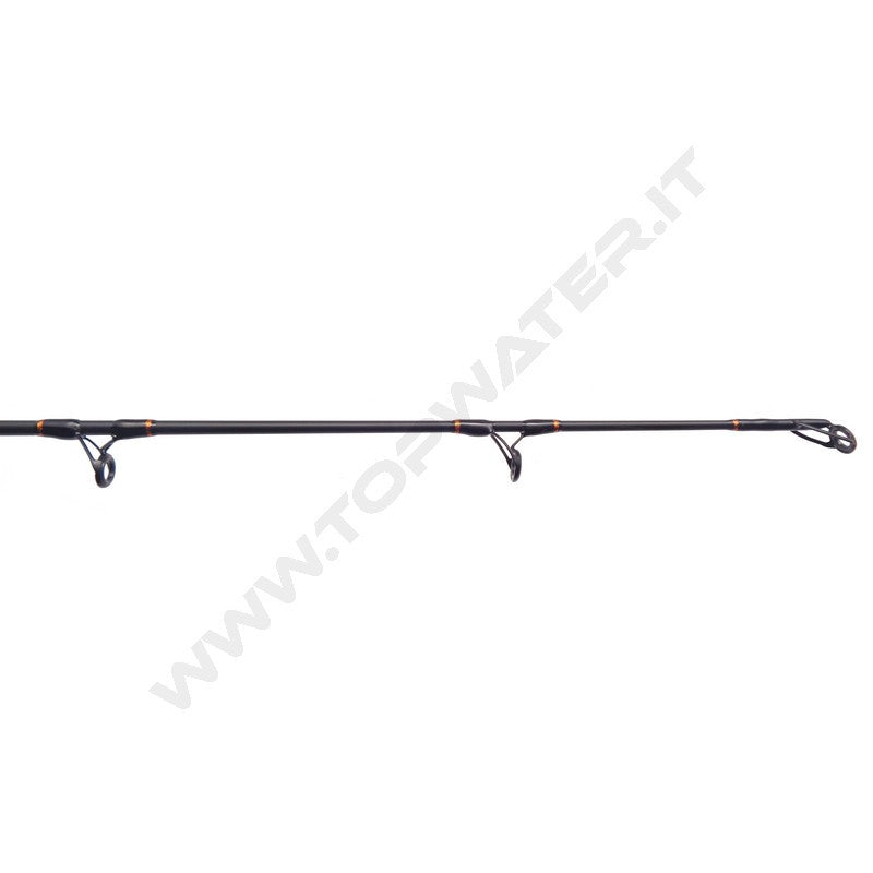 Shimano Beastmaster AX Catfish Spinning