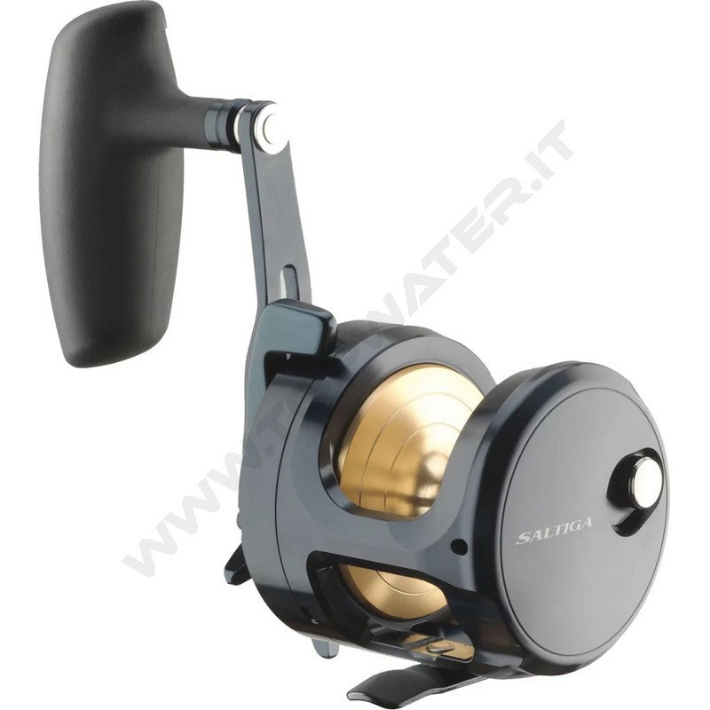 Daiwa 24 Saltiga G 15L