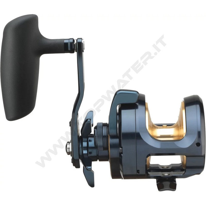 Daiwa 24 Saltiga G 15L