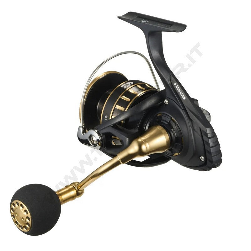 Daiwa 23 BG SW