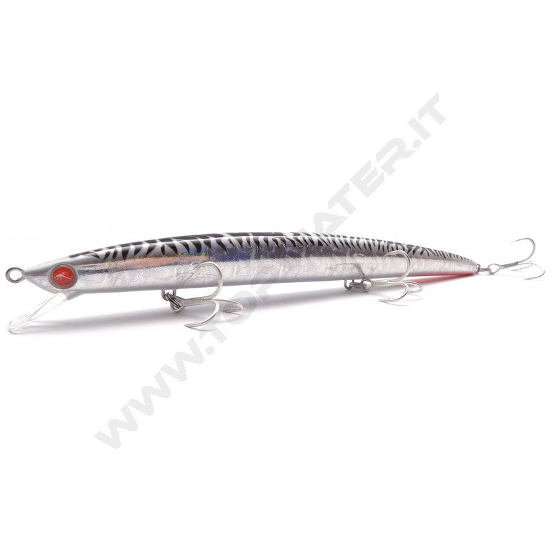 Seaspin Mommotti 180 FK