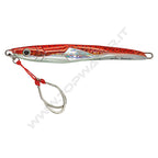 Molix Theos Shore Jig