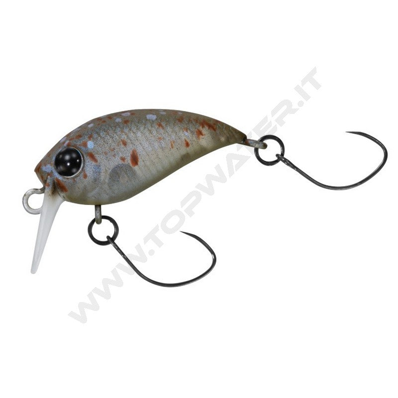 Daiwa Presso Wabcra Jr. SR