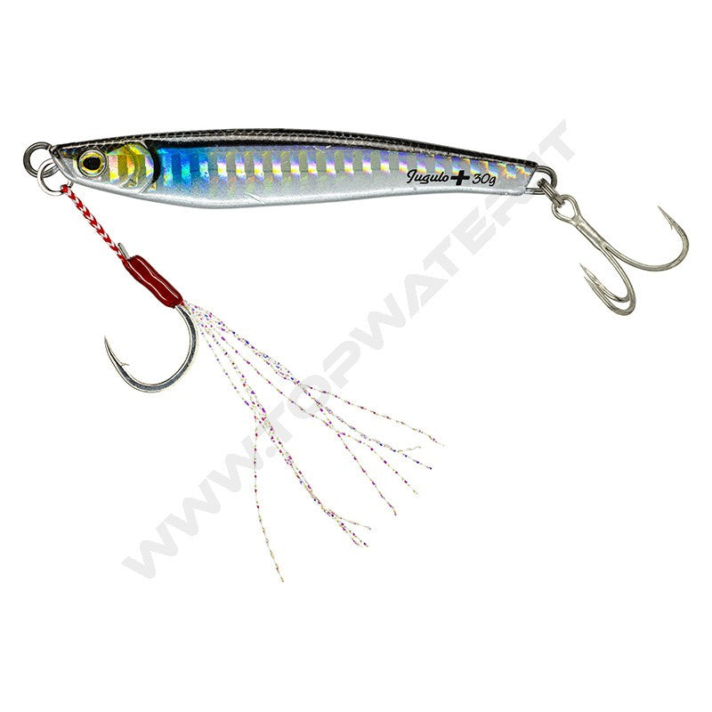 Molix Jugulo Plus Casting jig