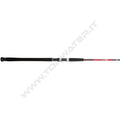 Daiwa Ninja Catfish