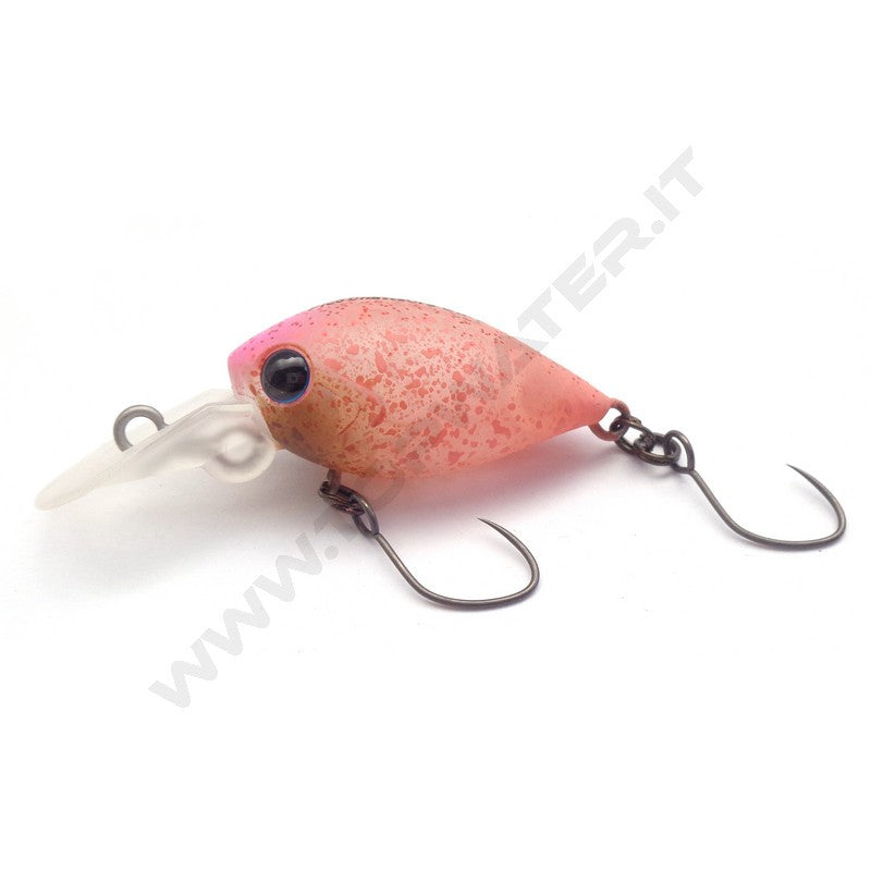 Daysprout Pico ChatteCra DR