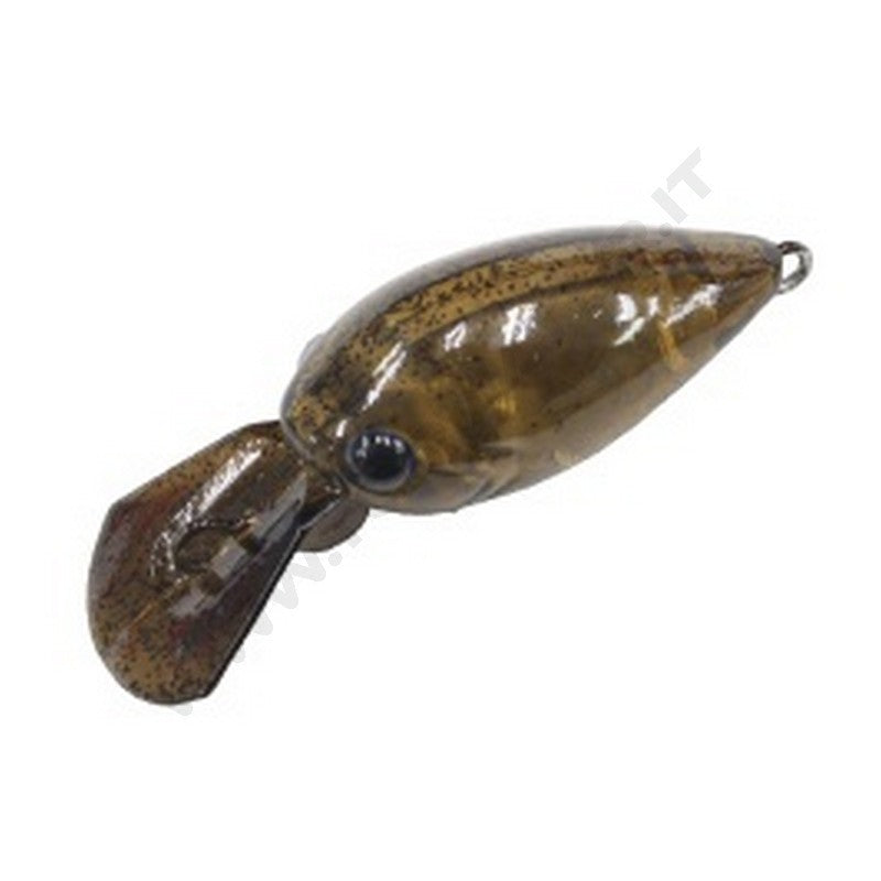 Daysprout Pico ChatteCra DR