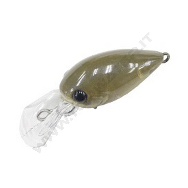 Daysprout Pico ChatteCra DR