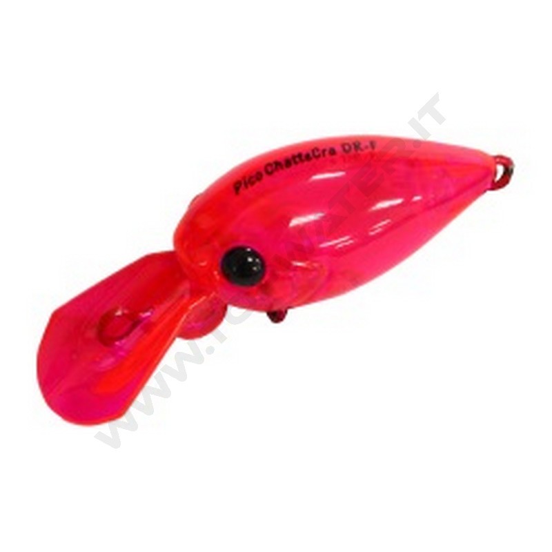Daysprout Pico ChatteCra DR