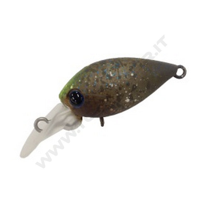 Daysprout Pico ChatteCra DR