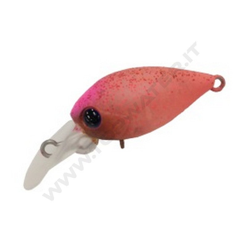 Daysprout Pico ChatteCra DR