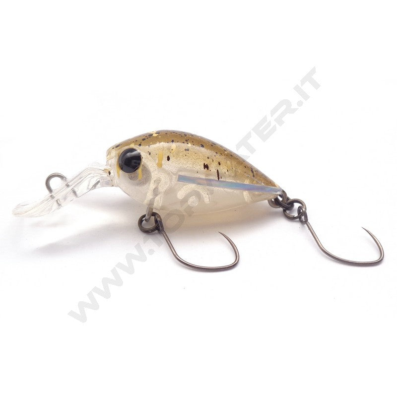Daysprout Pico ChatteCra MD