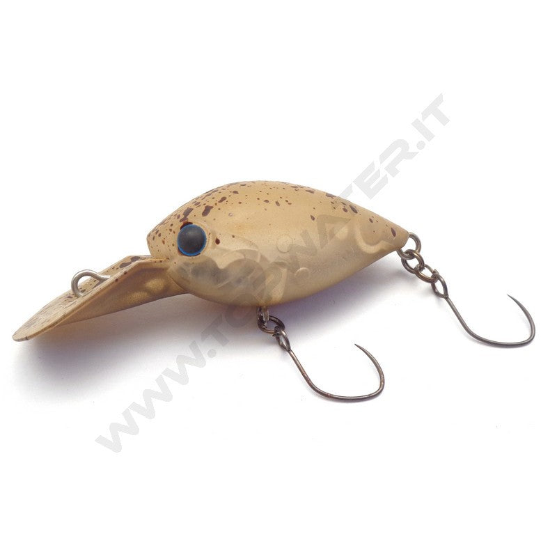 Daysprout ChatteCra DR
