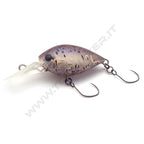 Daysprout ChatteCra DR