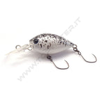 Daysprout ChatteCra DR