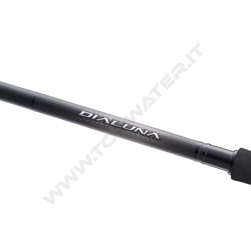 Shimano Dialuna Inshore