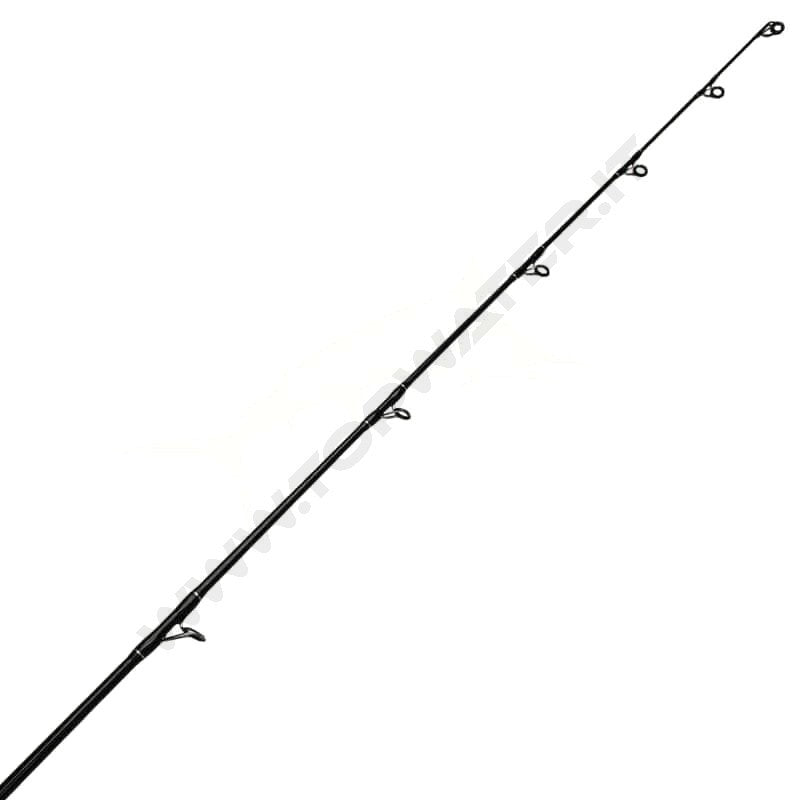 Smith Dragonbait Sea-Bass Shore J