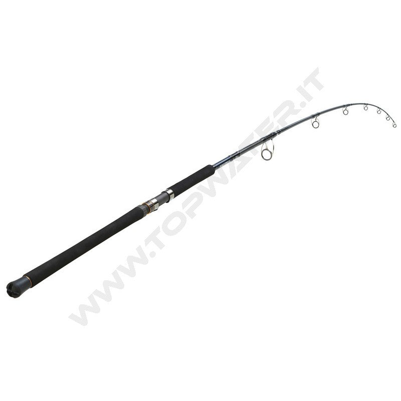Daiwa Saltiga Air-Portable