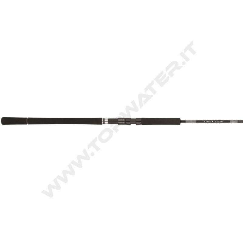 Daiwa 25 Saltist X SJ