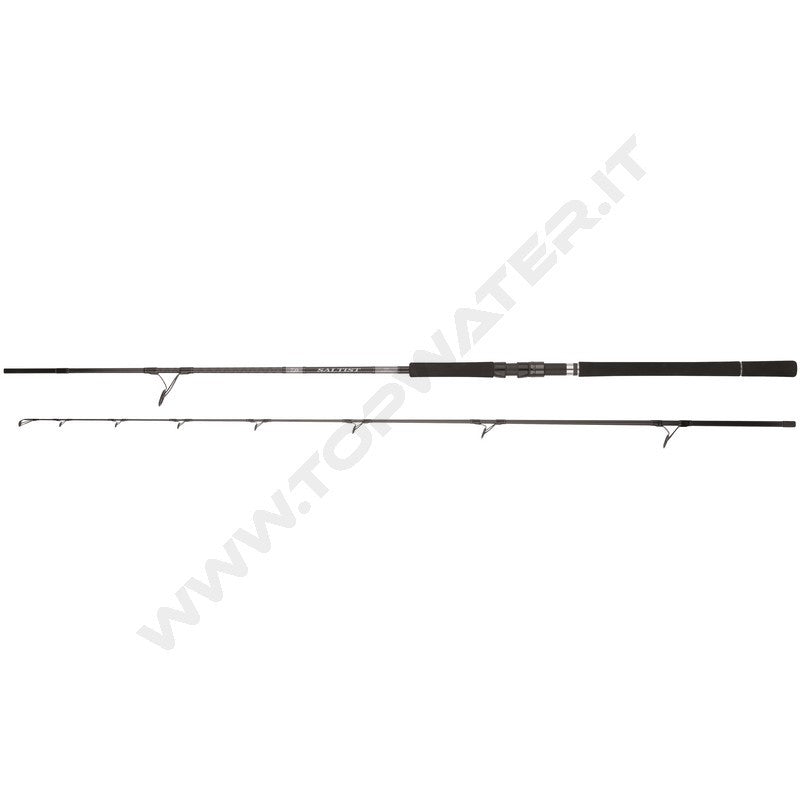Daiwa 25 Saltist X SJ